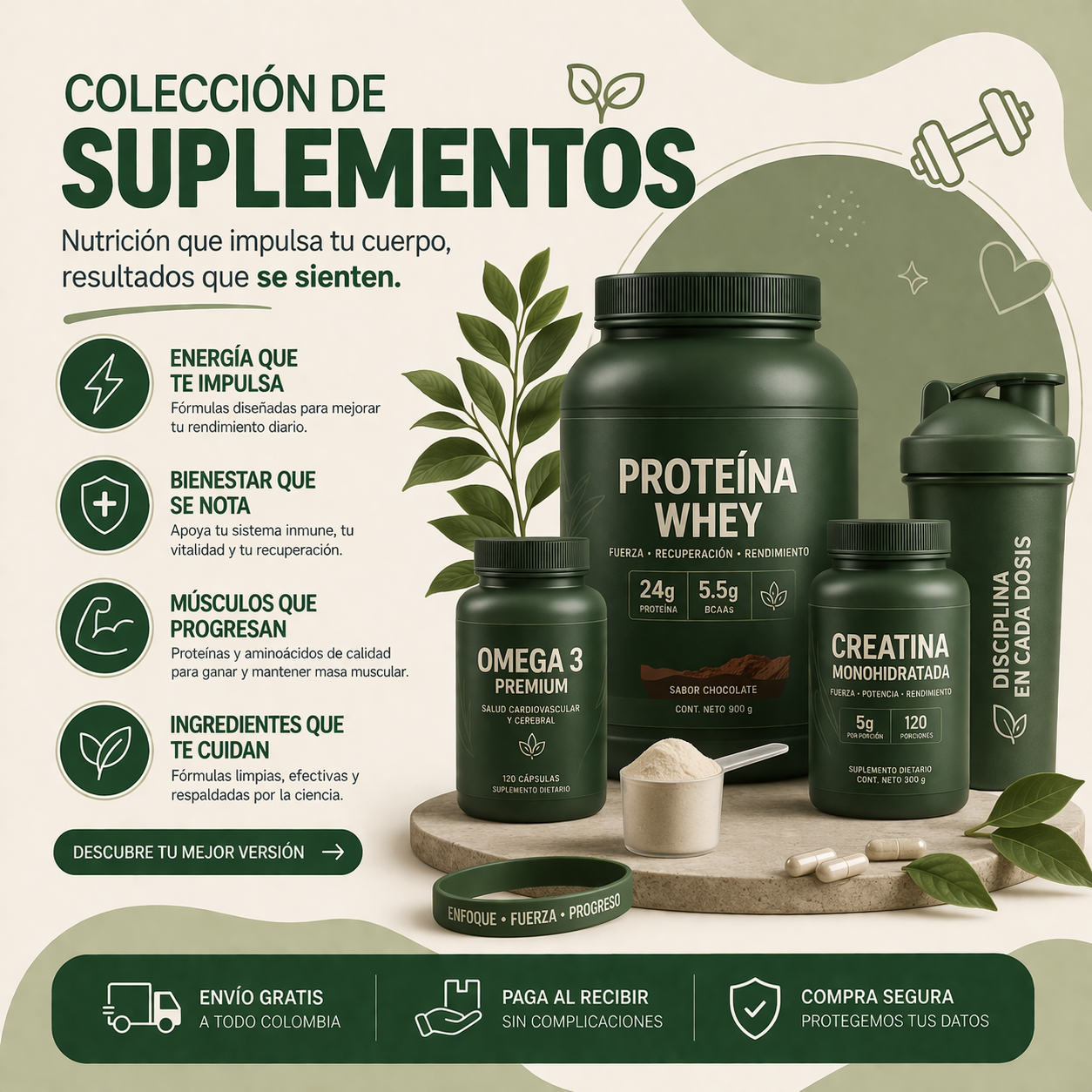 SUPLEMENTOS